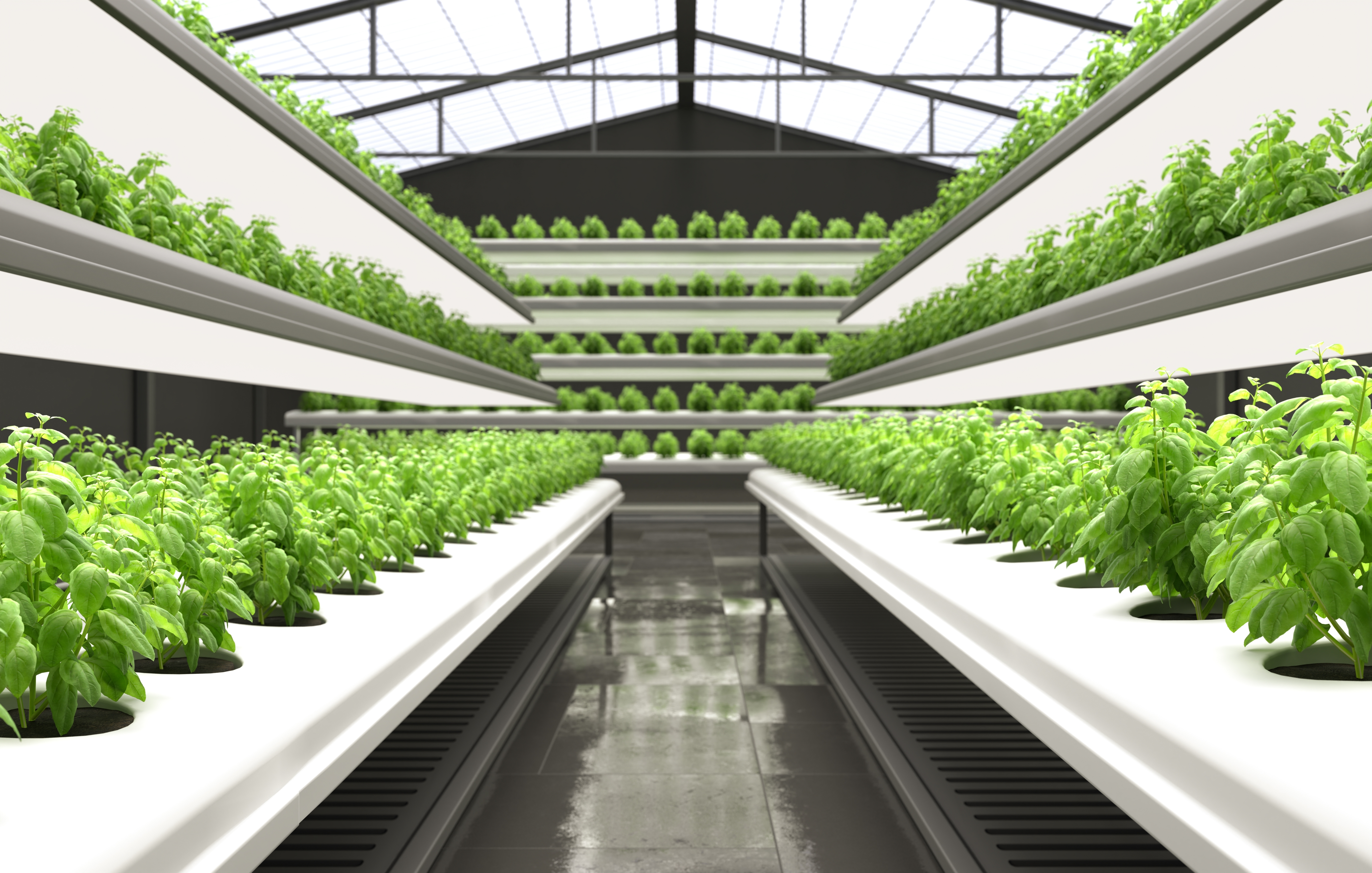 Agricultural Lighting